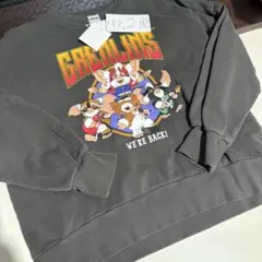 Item thumbnail for item 21015957-6fb5-4e48-9d3a-60d23f42f06b