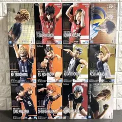 ハイキュー!! フィギュア 12体セット まとめ売り