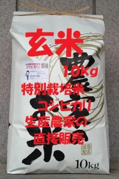 農家直送 種から育てた美味しいお米 コシヒカリ 玄米 10キロ 無農薬 天