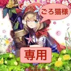 【ごろ猫様】　専用　リクエスト品