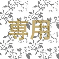 2026年最新】ハオルチア 万象の人気アイテム - メルカリ