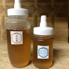 【非加熱・生はちみつ】百花蜜250g&からすたらのき百花蜜150g(2本)