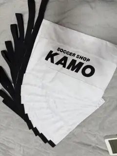 Item thumbnail for item a563efe8-0bcf-48c7-9ac0-39134e1f82ef