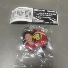バレーボール男子日本代表 キーホルダー