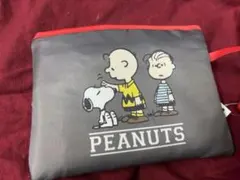 新品✨スヌーピー保温保冷ランチエコバッグ