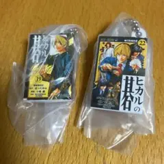 ヒカルの碁 コミックスチャームコレクション 19巻 22巻 進藤ヒカル