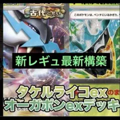 構築済みデッキ　ポケモンカードゲーム　ライコポン　タケルライコexデッキ