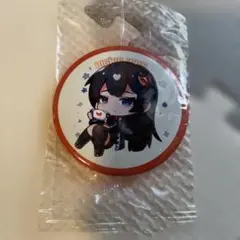 bigrcwon缶バッジ