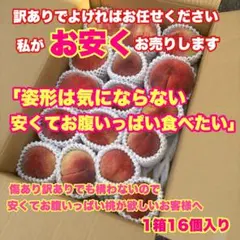 見た目に少し個性はあるけれど、味はしっかり本気モードです。1箱16個入りのサムネイル
