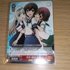 ヴァイスシュヴァルツ ブルーアーカイブ 対策委員会 奥空アヤネSP