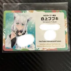 2025年最新】ホロライブ expo メンバーシップ カードの人気