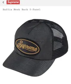 Supreme Raffia Mesh Back 5-Panel Camo 迷彩 - メルカリ
