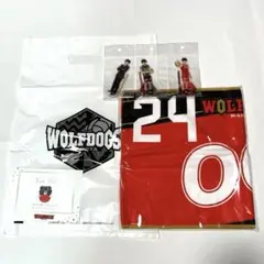 ウルフドッグス名古屋 小川智大 タオル・アクスタ 2025年最新】ウルフドッグス名古屋 小川の人気アイテム - メルカリ