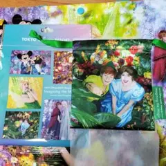 あ*様 ☆新品♪イマジニングザマジック　きんちゃく　巾着　ピーターパン　ディズニ