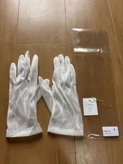 Item thumbnail for item 52df3158-5d42-419c-9fe7-26e193e1e331