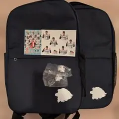 埼玉西武ライオンズ リュック×2 レオ めじるしアクセサリー×2 4/29配布品