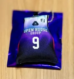 群馬クレインサンダーズ #9辻直人 ユニフォーム型ミニクッションキーホルダー