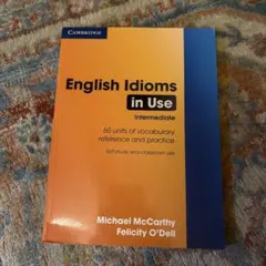 English Idioms in Use Intermediate