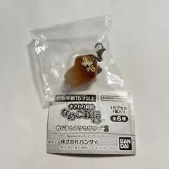 おさわり探偵　なめこ栽培キット　めじるしアクセサリー2 ねこなめこ