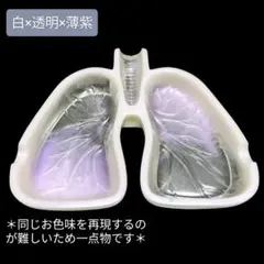 2025年最新】肺皿の人気アイテム - メルカリ