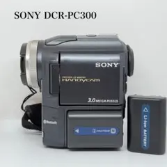 2026年最新】sony dcr-pc3の人気アイテム - メルカリ