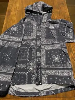 ノースフェイス　ペイズリー柄　ジャンパー