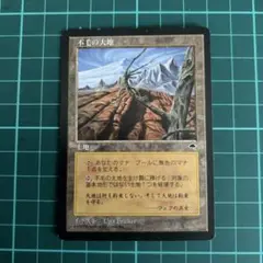 MTG 不毛の大地 wasteland x4 英語 MTG 不毛の大地 wasteland x4 英語 - メルカリ
