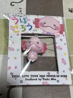 うぱごろうパスケース スカーフ ストラップ トレカセット うぱごろうパスケース スカーフ ストラップ トレカセット EXILE