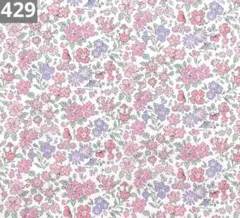 429♡リバティ アナベラ タナローン生地