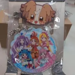 プリキュアオールスターズ　ガチャ　B賞　C賞