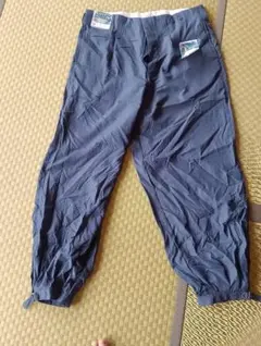 Item thumbnail for item 05cf3c4c-2167-49df-afe9-bd3bb7686ca9