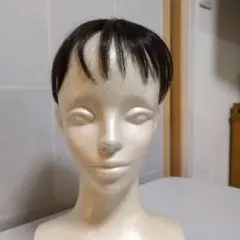 CLIPS 部分ウィッグ