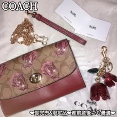 訳あり未使用＆限定品♥秋新作♡COACH♥チューリップ柄♡付属品あり♥O2点