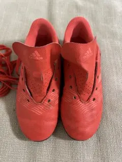 Item thumbnail for item 9afcd750-cd40-458d-9a65-4867c5e39917