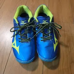 Mizuno 卓球シューズ 女性用 青/黄