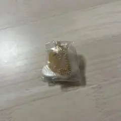 サンリオキャラクターズ　ぺたんこマスコット teamいえろー　ぐでたま