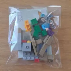 LEGO Minecraft 30647②