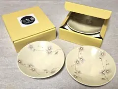 京都たち吉　お皿　食器　新品未使用　4枚セット　和柄　取り皿