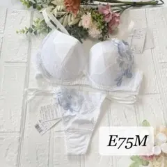 【新品】wacoal サルート　75 ブラ　ソングセット　E75M WH