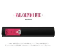 Seventeen 2023 ウォールカレンダー シーグリ セブチ  新品