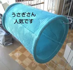 Item thumbnail for item cec09ef6-7787-4a4e-ac5a-728acb4f6daf