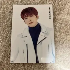SEVENTEEN 2020 WINTER ウォヌ トレカ