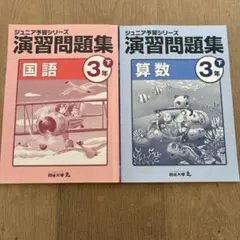 2026年最新】ジュニア予習シリーズ 3年の人気アイテム - メルカリ