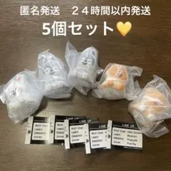 スキズ　SKZOOライトマスコット ガチャ　5体セット