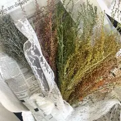 ①カラフルミモザ(蕾)✨ユニコーンのしっぽ✨大ボリュームの5束