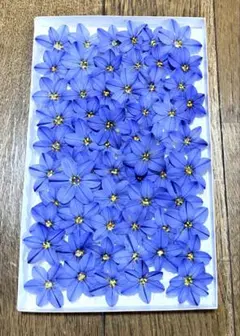 ten様 リクエスト 2点 まとめ商品