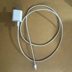アップル純正　Lightning充電ケーブル ホワイト