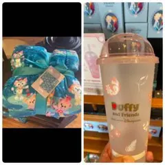 【ラスト1点】香港ディズニー限定　タンブラー ／ブランケット　アウラニ限定