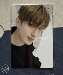 ドギョム D×S Serenade トレカ weverse特典