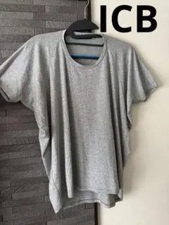 【美品】iCB ラメジャージー プルオーバー カットソー　シルバー Sのサムネイル